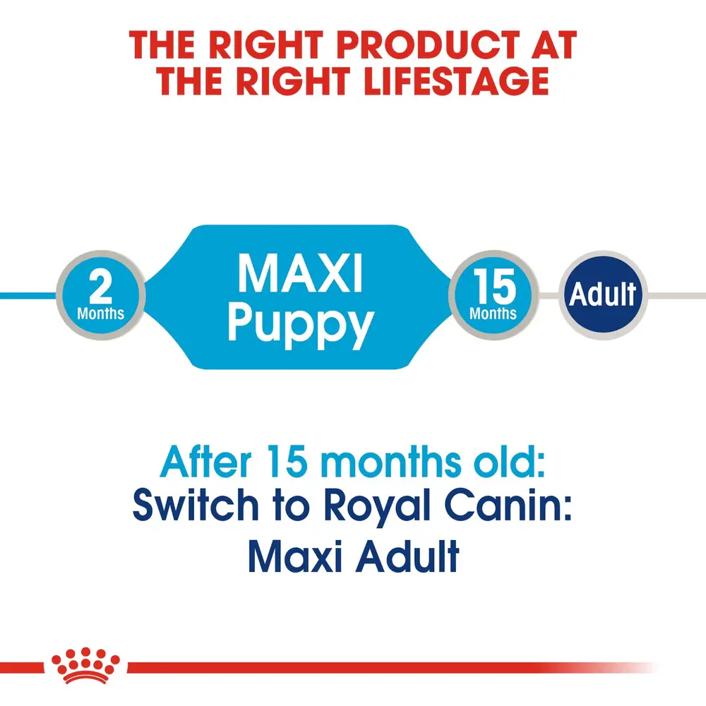royal-canin-maxi-puppy-wet-gravy-140g royal-canin-maxi-puppy-wet-gravy-140g