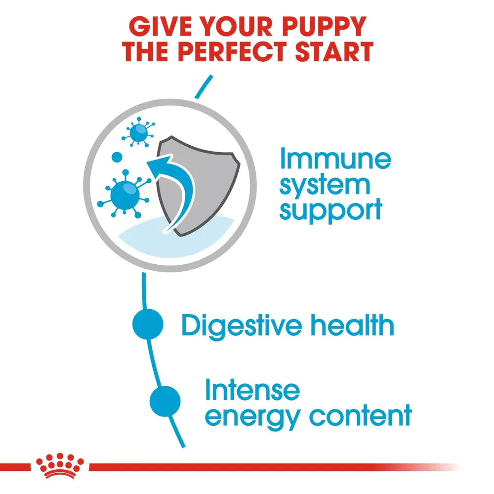 Royal Canin Mini Puppy wet food pouch featuring small, tender chunks in gravy for small breed puppies. Royal Canin Mini Puppy wet food pouch featuring small, tender chunks in gravy for small breed puppies.