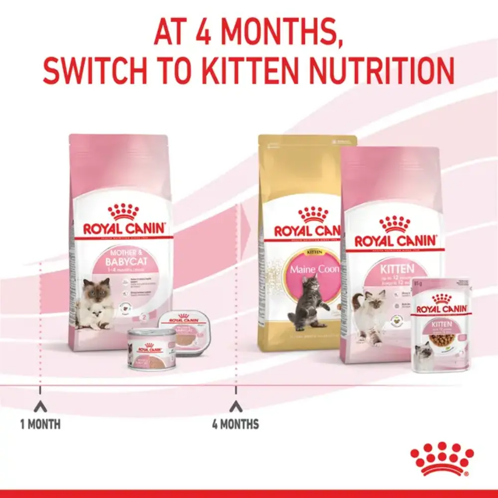 ad14fe6a-bb6a-4e5a-af6f-b1ef000eda85_DownloadAsJpg_1000x1000 Royal Canin Mother & Babycat dry food bag for pregnant cats and kittens 1-4 months, showing tiny rehydratable kibble.