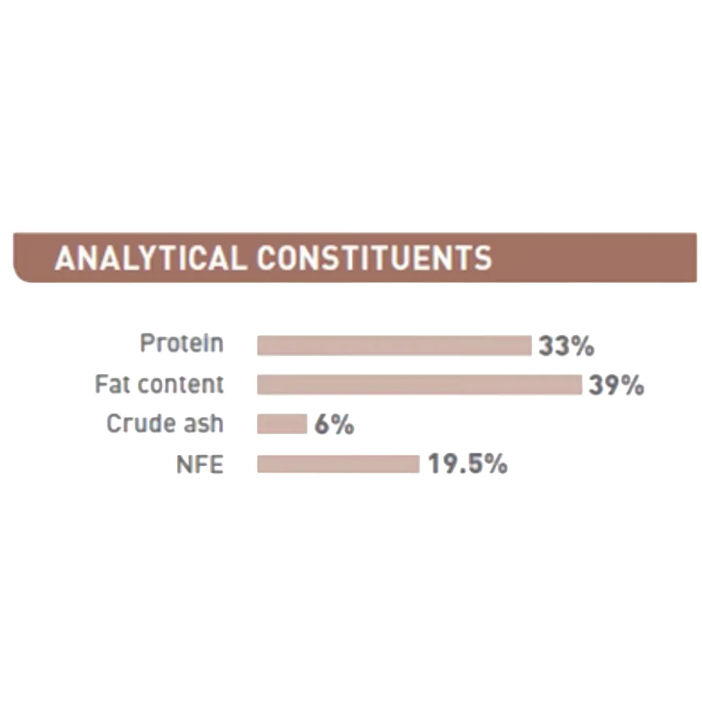 Royal Canin Babydog Milk kit including feeding bottle, teats, and measuring scoop for newborn puppies. Royal Canin Babydog Milk kit including feeding bottle, teats, and measuring scoop for newborn puppies.