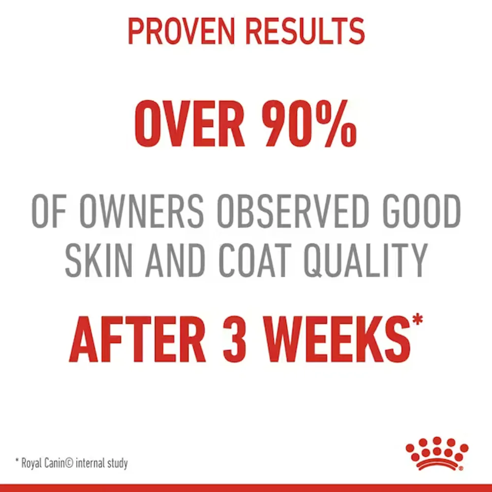 Royal Canin Hair & Skin Care dry cat food bag showing high-protein kibble for healthy skin and shiny coat. Royal Canin Hair & Skin Care dry cat food bag showing high-protein kibble for healthy skin and shiny coat.