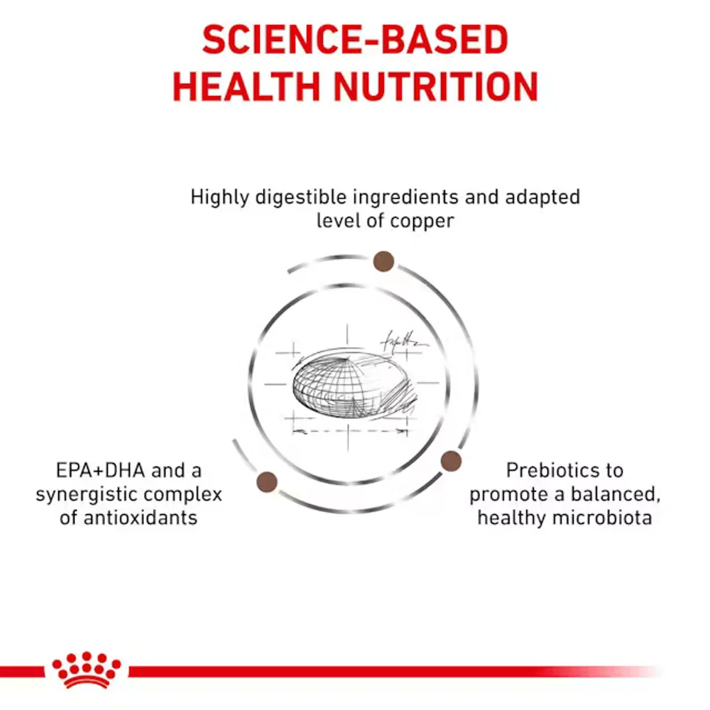 Royal Canin Hepatic dry cat food bag for cats with liver disease, showing high-energy kibble with low copper content. Royal Canin Hepatic dry cat food bag for cats with liver disease, showing high-energy kibble with low copper content.